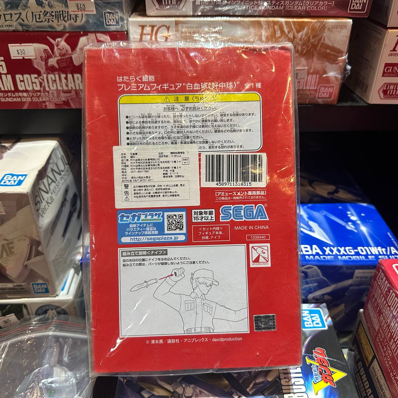 Working Cells White Blood Cells (Intermediate Intermediate 1146 Figure)